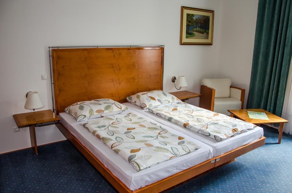 Rooms Savinja Lasko Room photo